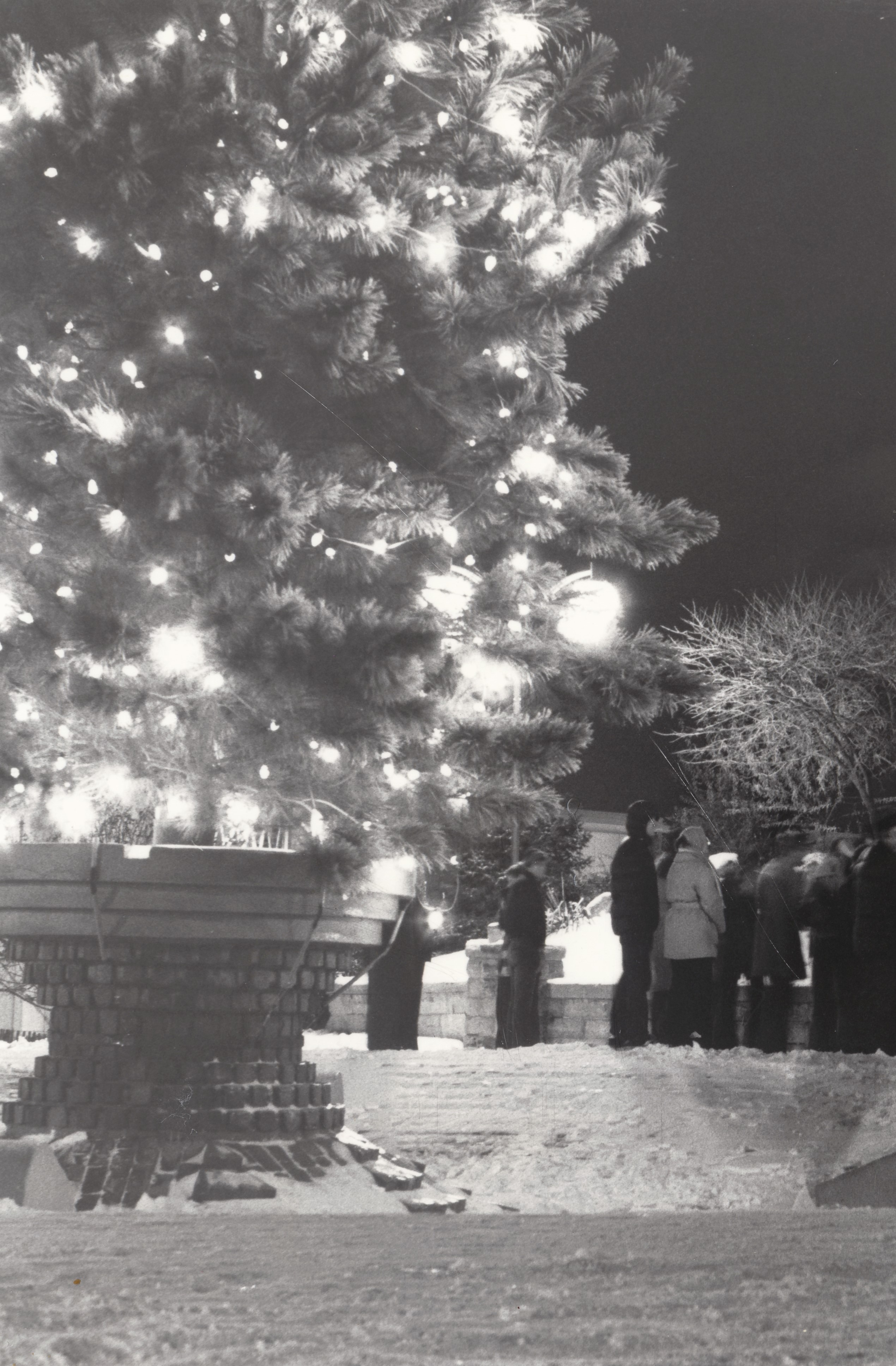 Lit up Christmas tree in fountain.