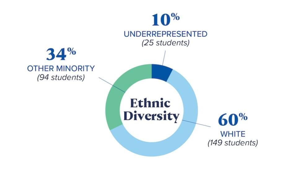 Ethnic Diversity - 10% 25 students underrepresented, 60% 149 students white, 34% 94 students other minority