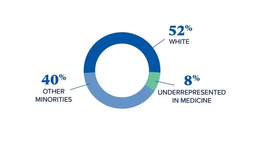 52% White, 40% Other Minorities, 8% Underrepresented in Medicine